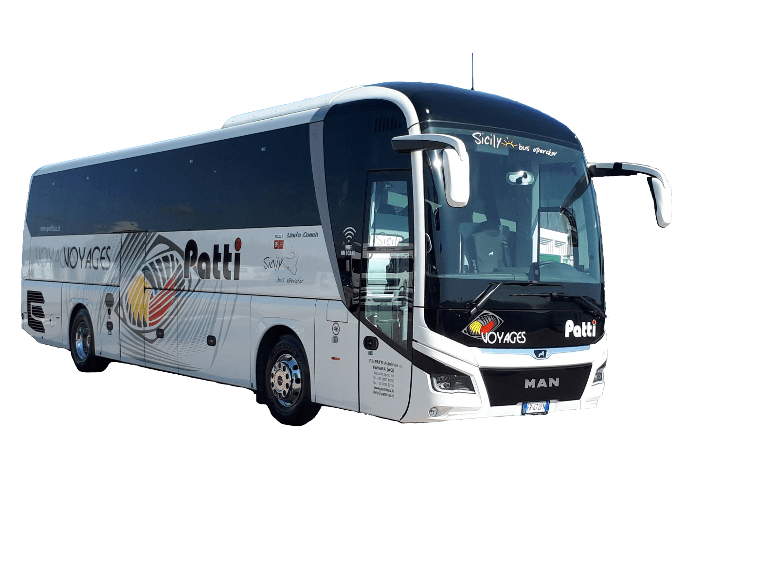 Man Lion's Coach